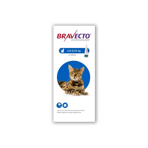 Bravecto Spot On Cat med. 250 mg. 1x1