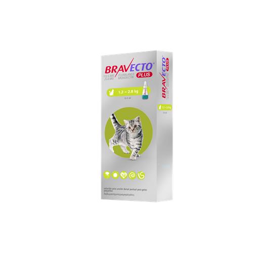 Bravecto Plus Cat 112,5 mg. 1x1