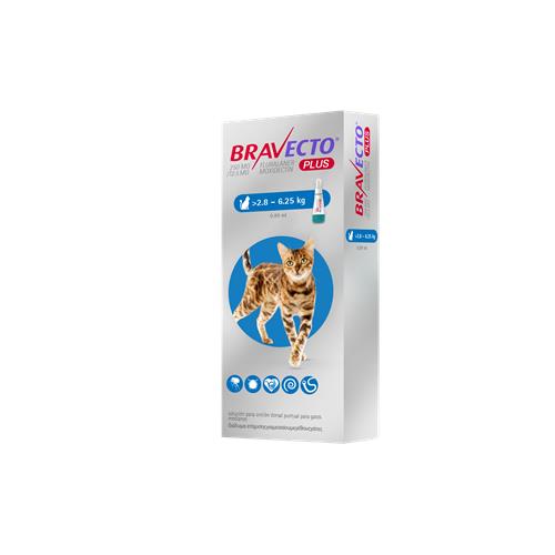 Bravecto Plus Cat 250 mg. 1x1 (2,8 a 6,25)