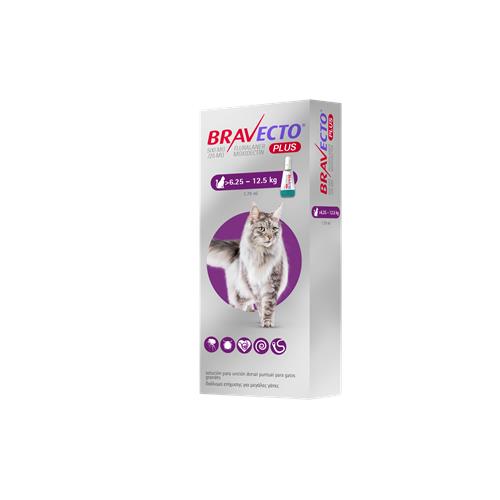 Bravecto Plus Cat 500 mg. 1x1