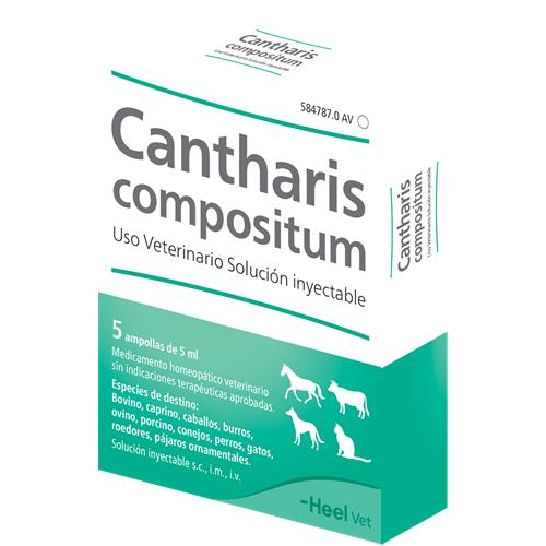 Vet Cantharis CPS 5 Amp. 5 ml