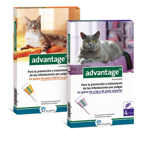 Advantage 40 Gatos