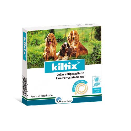 Kiltix perros Medianos