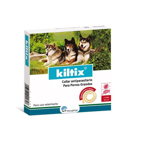 Kiltix perros Grandes