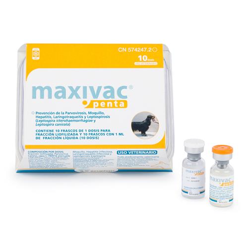 Maxivac Penta 10 dosis