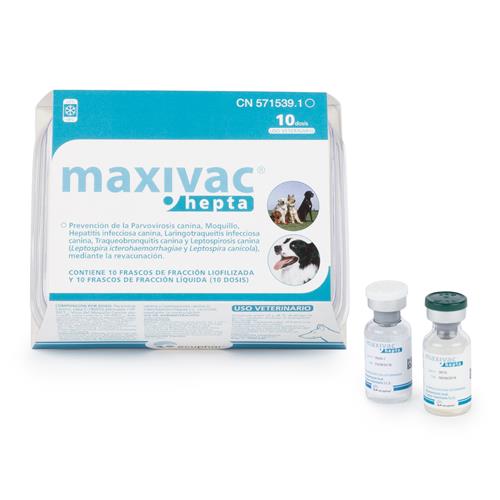 Maxivac Hepta 10 dosis