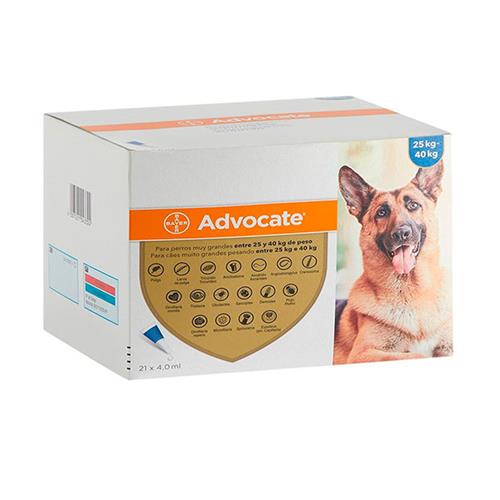 Advocate perro 21x4ml.